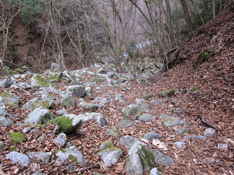 20200110hike (407)